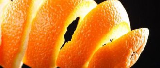 Апельсиновые шкурки в кармане шубы помогут отпугнуть вредителя