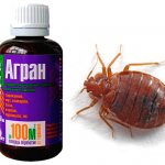 Argan for bedbugs