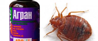 Argan for bedbugs