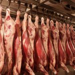 Business plan for a meat slaughterhouse processing cattle and pork meat
