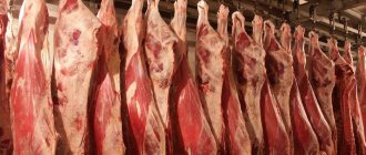 Business plan for a meat slaughterhouse processing cattle and pork meat