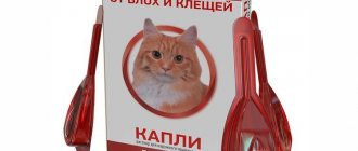 Чистотел для кошек - инструкция по применению капель