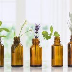 Essential oils against rodents