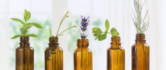 Essential oils against rodents