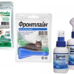 Frontline for cats and cats