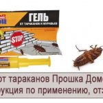 Domovoy gel against cockroaches - action, effectiveness, instructions, safety measures
