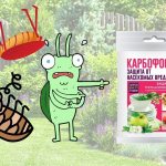 Instructions for using Karbofos in the garden and apartment, effectiveness and customer reviews, compatibility