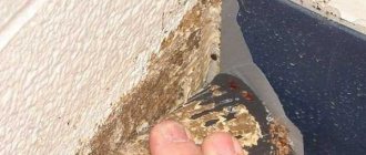 How and what is the best way to kill bedbugs - a review of effective methods