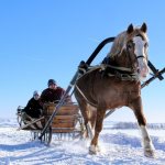 How to make your own horse sleigh