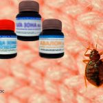 How to get rid of bedbugs using folk remedies