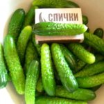 Gherkins differ from other cucumbers in their