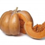 Description of Muscat de Provence pumpkin
