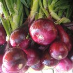 Features of cultivation and beneficial properties of red onions