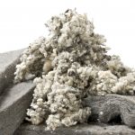 Sheep wool: beneficial properties, processing, application