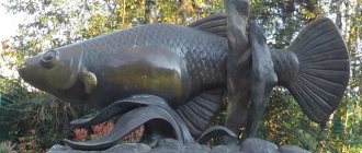 Памятник рыбке гамбузии, с помощью которой была побеждена малярия в Сочи.