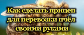 Перевозка пчёл в ульях