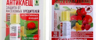 Anti-mite drug for spider mites for cucumbers: instructions