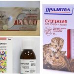 Medicines for helminths