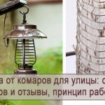 The principle of operation of a mosquito lamp for the street: an overview of types and reviews