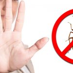 Prevention of sofa bugs
