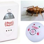 Types of cockroach traps, how effective they are in practice