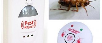 Types of cockroach traps, how effective they are in practice