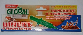 Syringe gel for cockroaches and ants Global