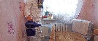 Destruction of bedbugs with fog in an apartment