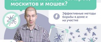 video about killing mosquitoes