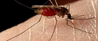 Защита от комаров с помощью ванилина